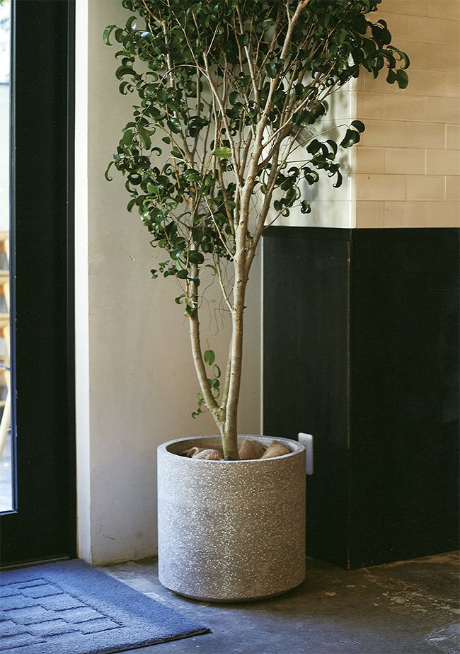 植木鉢andソーサー✳︎POT観葉植物✳︎園芸プランター 植木鉢and