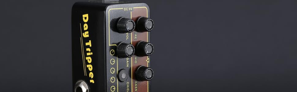 Amazon.com: MOOER Micro Preamp 004 Day Tripper Digital Preamp