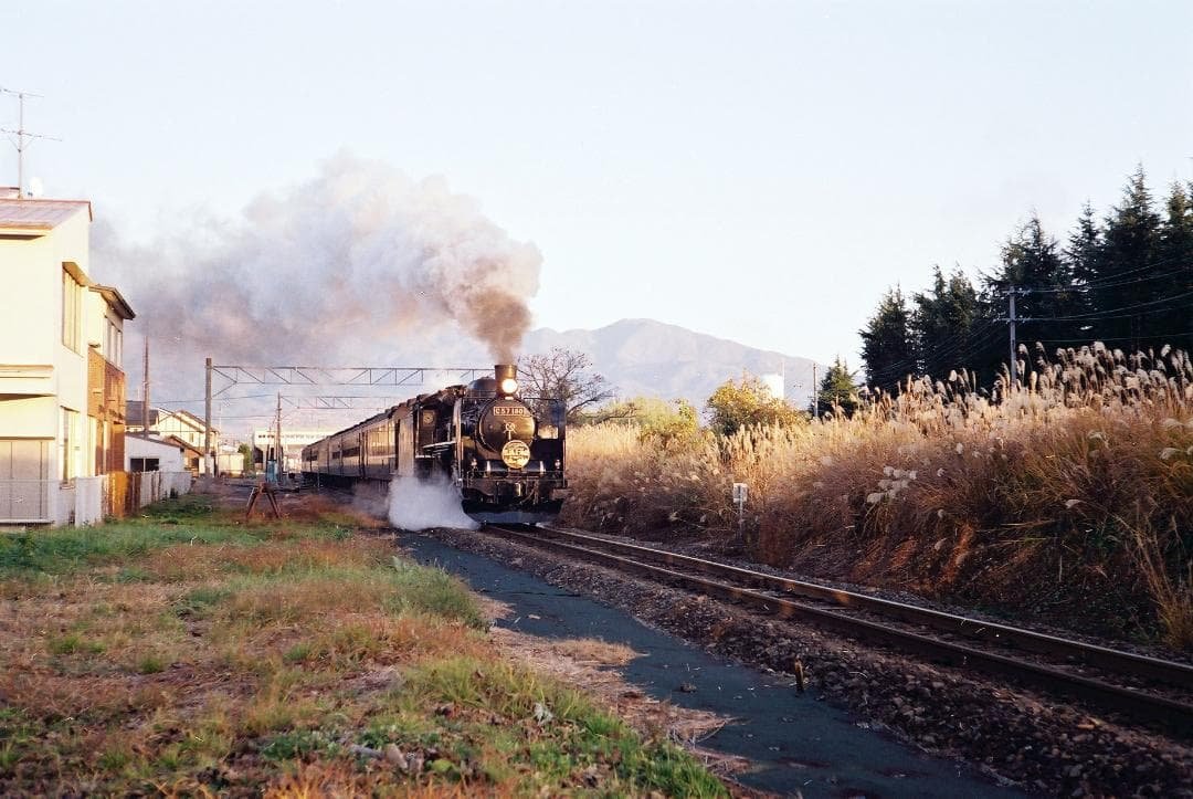 実写確認整備品】キャノン L2／50㎜f2.8ゼブラ・フード付