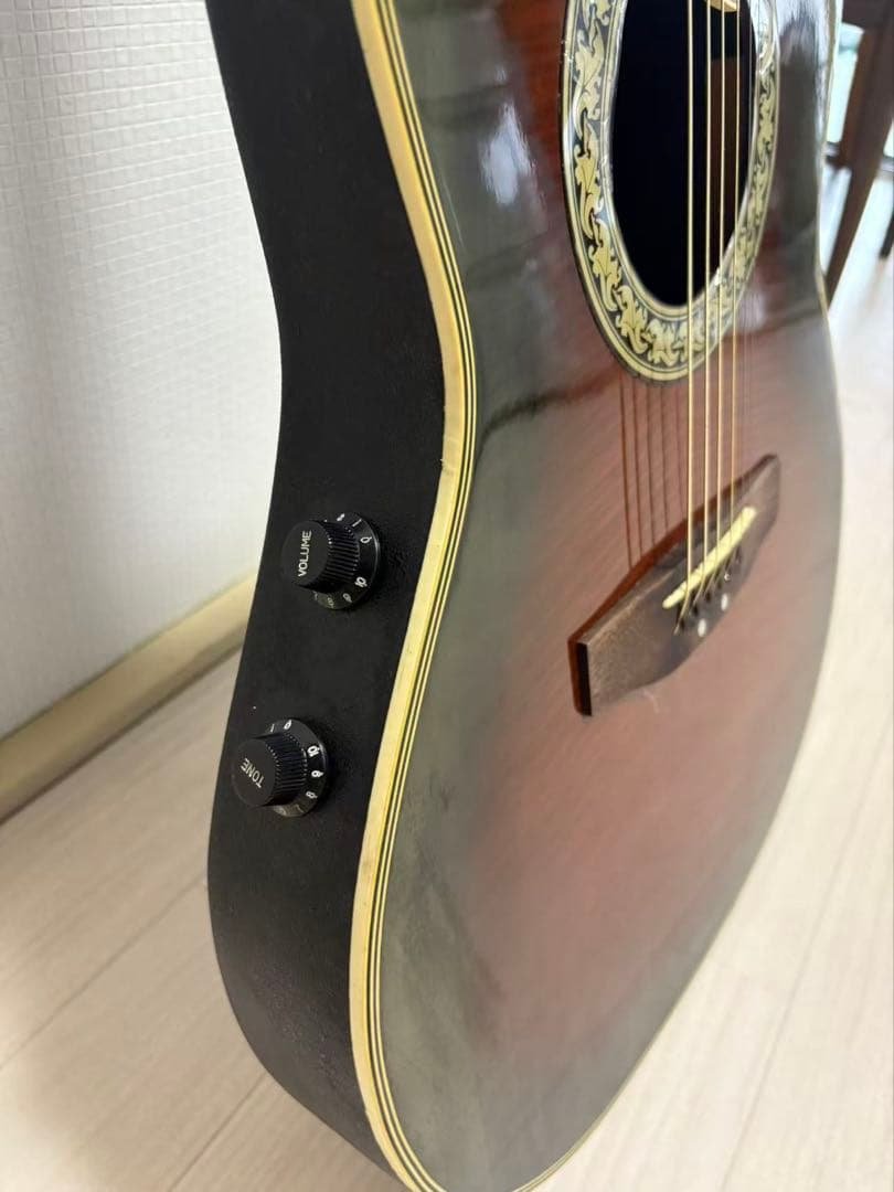 ProMartin EA350BS エレアコ