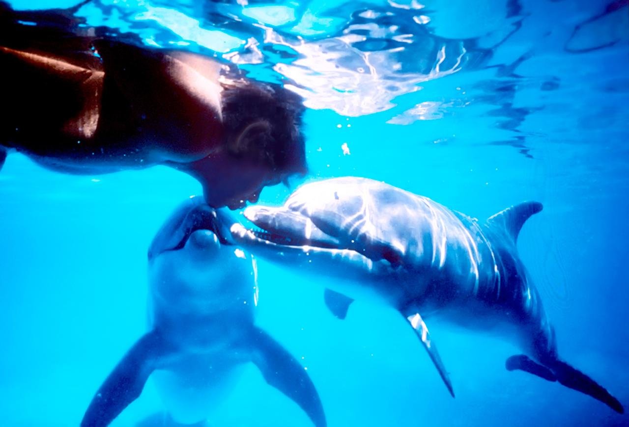 グラン・ブルー』のモデルとなった伝説の素潜りダイバーの映画が公開